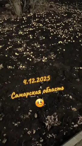 🥴 #самарскаяобласть #saratovskie64 