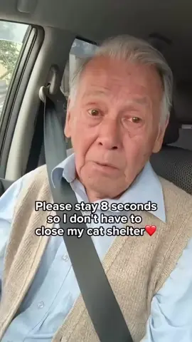 1 order = 1 cat saved❤️‍🩹 #cat #shelter #fyp #catslovers #catsoftiktok 