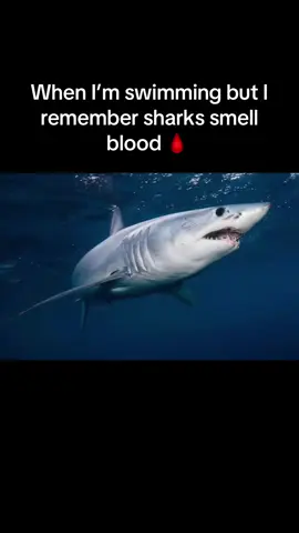 Respect my cryppin #blueface #viral #viraltiktok 