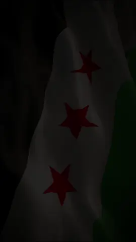 #CapCut #سوريا 