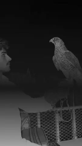 #اكسبلورexplore #fypシ #شعروقصيد#الاصدقاء #الجمعه_الصلاة_على_النبي_سورة_الكهف 