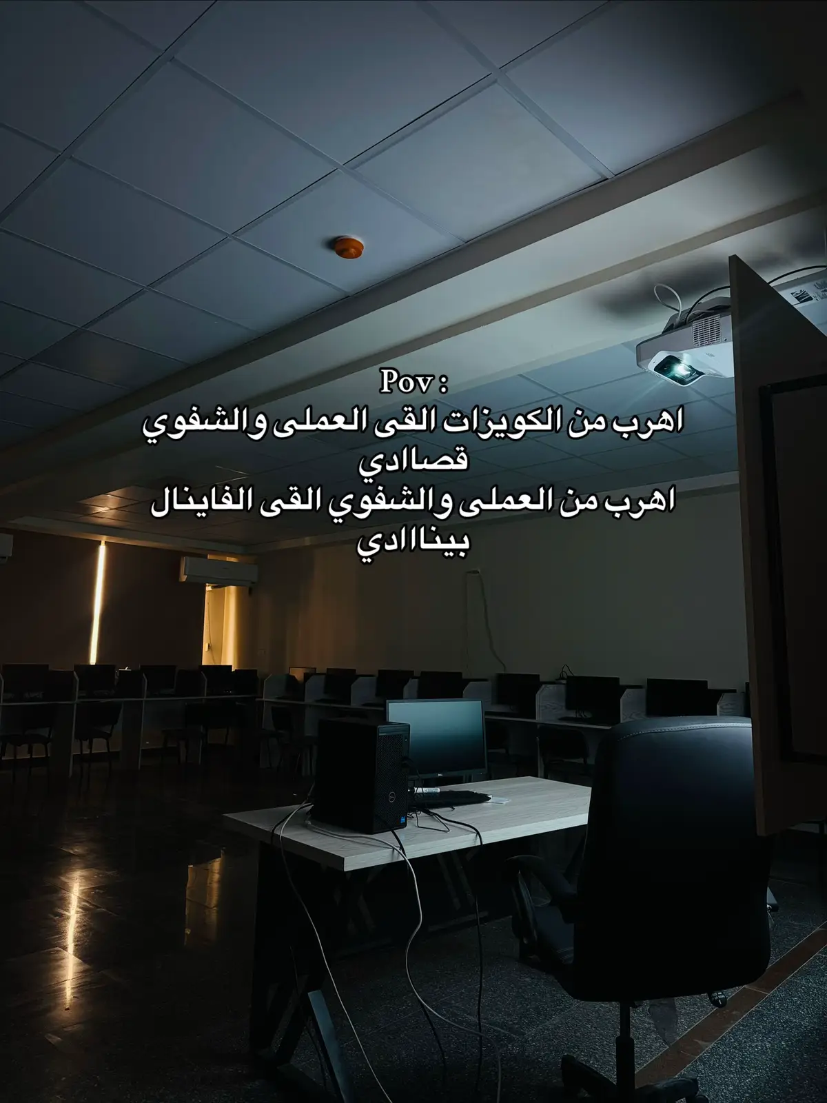 #زنقة_كلاب #fyp  #المنيا_اسيوط_سوهاج_قناا_الاقصر_اسوان_ #viral 