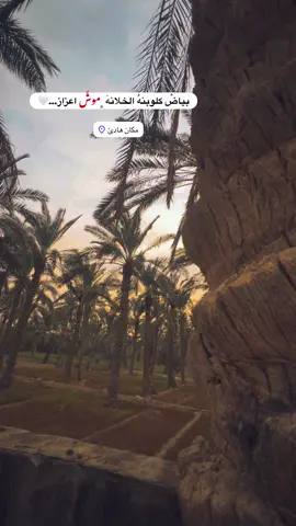 #جزء 434 |#تصويري_احترافي_الاجواء👌🏻🕊 #عباراتكم_الفخمه📿📌 #لايك_متابعه_اكسبلور_لو_ #قناتي_تليجرام_بالبايو💕🦋 