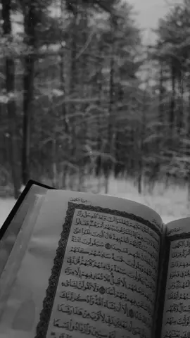 #دعاء_الصباح #قران_كريم #باسم_الكربلائي #دعاء_يريح_القلوب #capcut 