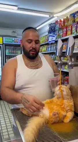 #לאישלם #AI #fy #funny 