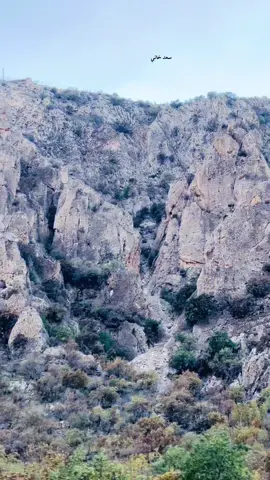 #زاخو #شنكال #سنجار #سعدخاني 