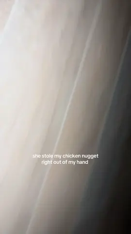 I’m tired of these pets #fyp #catsoftiktok #foryou #obesecat #fatcat