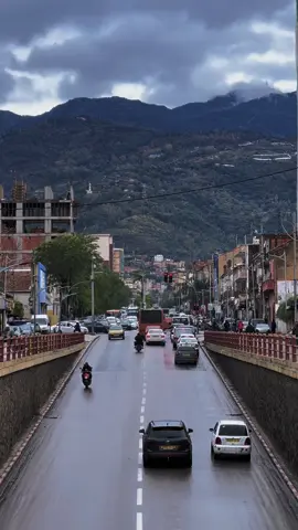 #algeria #foryoupage #fyp #blida09_tiktok_algérie❤️🇩🇿 #blida09 