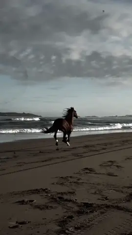 🧔🏻‍♂️💆‍♂️📿🫀✍️✍️#ceroenvidia👌🏼 #caballos #VicenteFernandez #fracesmotivadoras #paratiiiiiiiiiiiiiiiiiiiiiiiiiiiiiii 