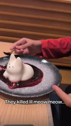 Rip lil meow meow Jasanimation killed you #fyp #food #FoodTok #food #fyp 