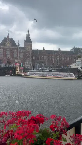 هولندا 🇳🇱  #amsterdam #rain   #امستردام 
