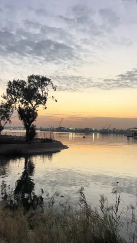 Forever my favourite place🫶🏼✨#ismailia #fyp #foryoupage #sunset #suezcanal 