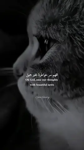 #CapCut #اتعلم_علي_تيك_توك 