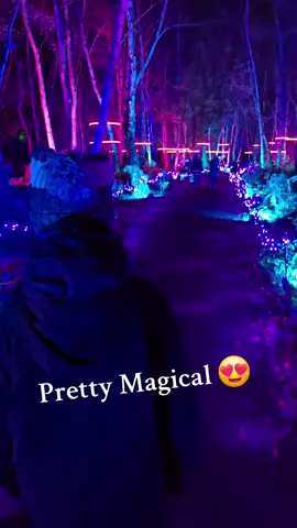 #christmas #magical #christmaslights #fyp #viral  Magical Christmas lights 😍