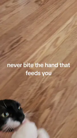 #foryoupage #viral #fyp #fyp #foryou 