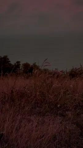 I've got my eye on you