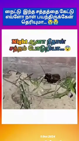 #onthisday #சோழன்அம்மணி 