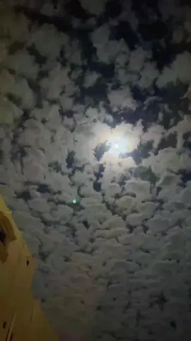 #❣️لايك #foryou #fyp #