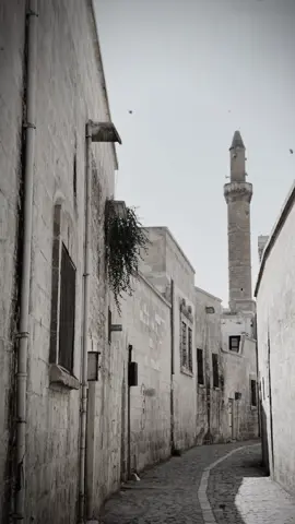 #سمير_صبيح  #شعراء_وذواقين_الشعر_الشعبي_العراقي#شعروقصايد_خواطر_غزل_عتاب #شعر#fyp  