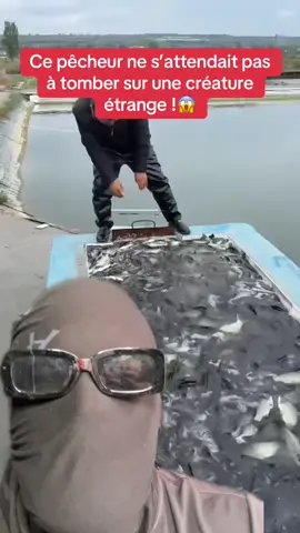 Ce pêcheur ne s’attendait pas  à tomber sur une créature  étrange !😱 #peche #pecheur #poisson 