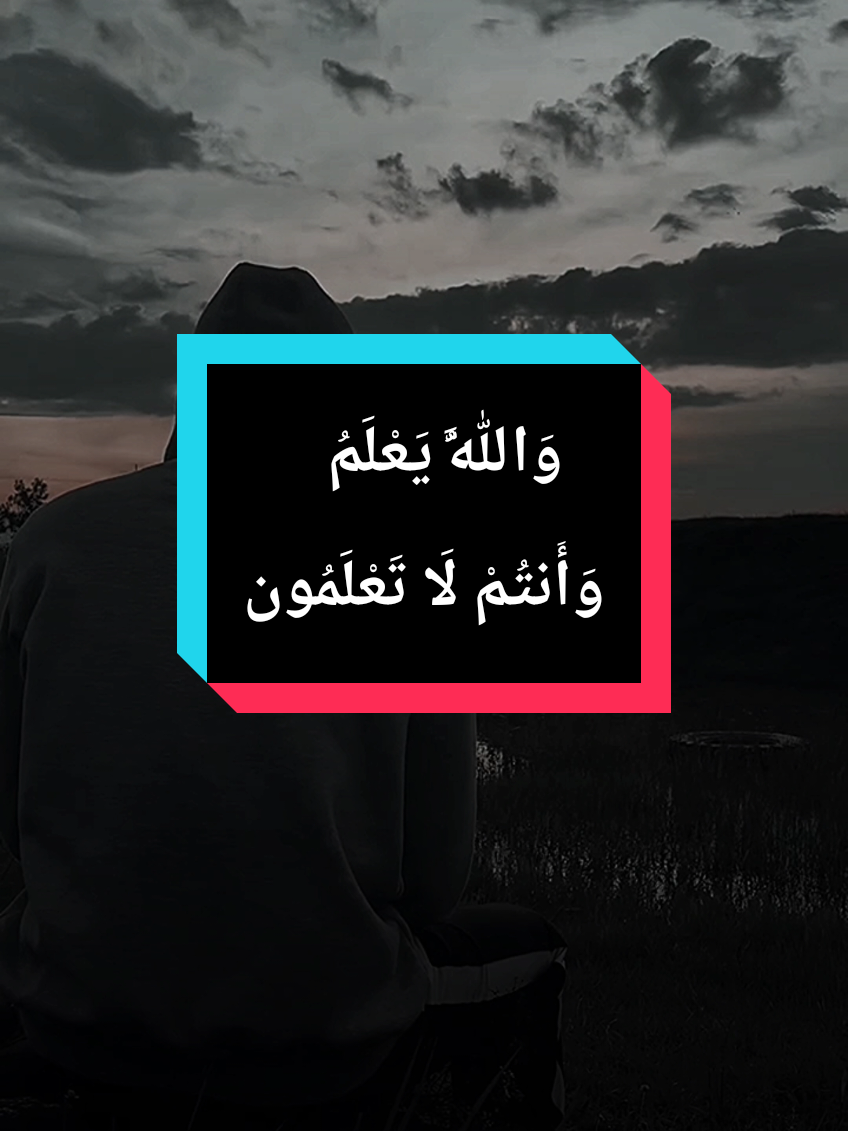 الحمدلله على كل حال وماتدري وين الخيرة و الله خير ،وَعَسَىٰ أَن تَكْرَهُوا شَيْئًا وَهُوَ خَيْرٌ لَّكُمْ ۖ #islam8quran #islam8qurann #دعاء 