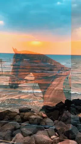 #محمدبن_فطيس #🌹🌹 #هواجيس #🗣️ #شعر 