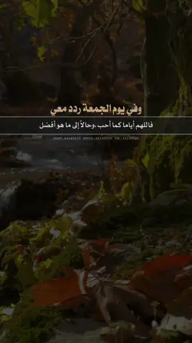 أجمعين يارب 🤲 🤍🤍