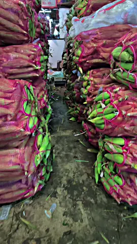 tahun baru tinggal menghitung hari 😁 #tiktok #fyp #jagungmanis #pasarindukkramatjati ##CapCut 