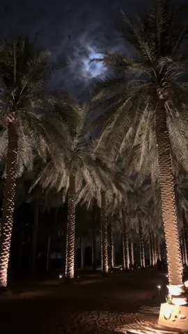 #طِوال #القصيم #اكسبلور #قماري #fyp 