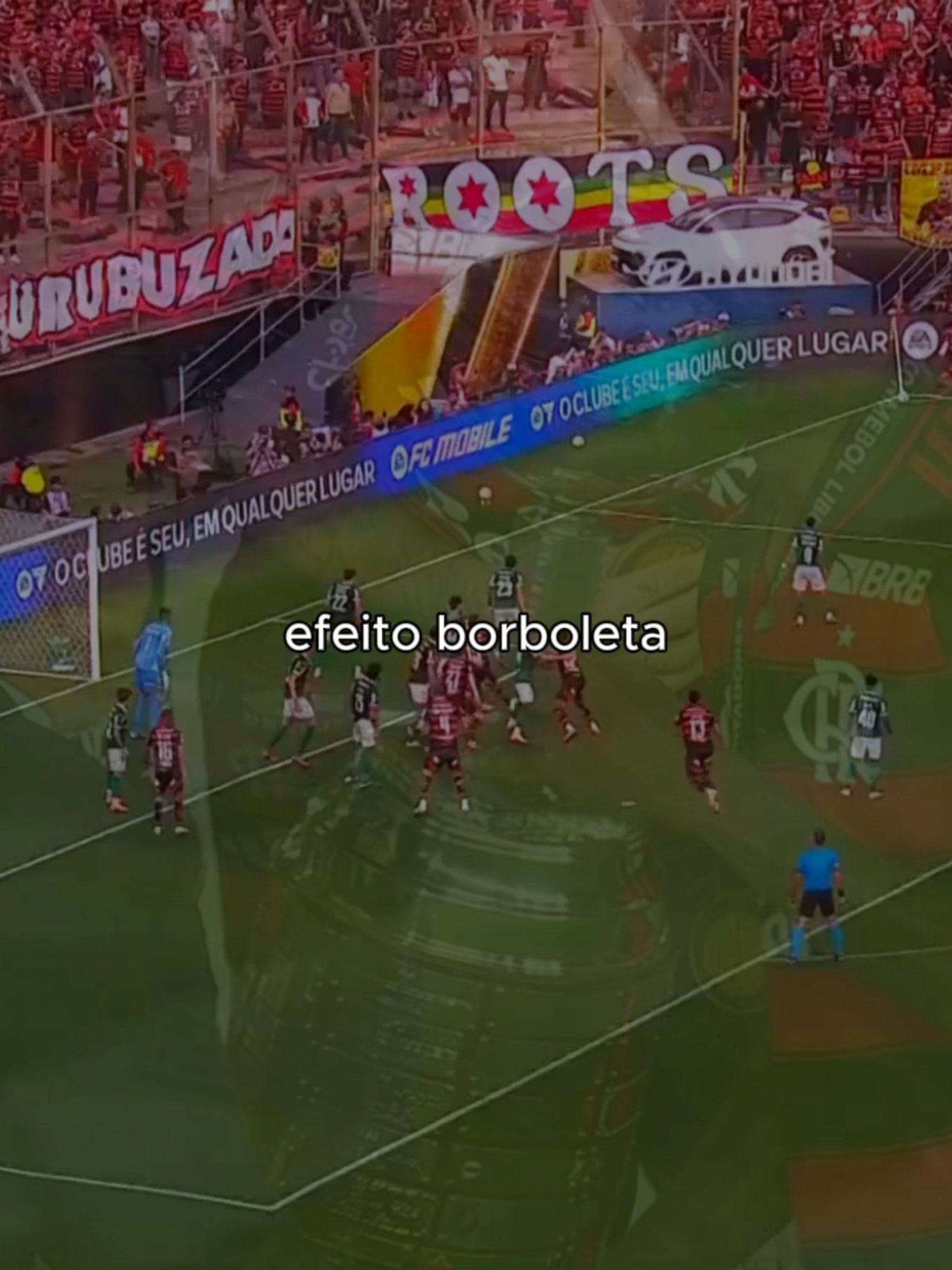 O tal do efeito borboleta 🦋 #flamengo #palmeiras #libertadores #mengao #fyp