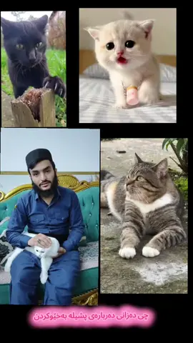 دینەکەمان فێرمان دەکات بینەر بن