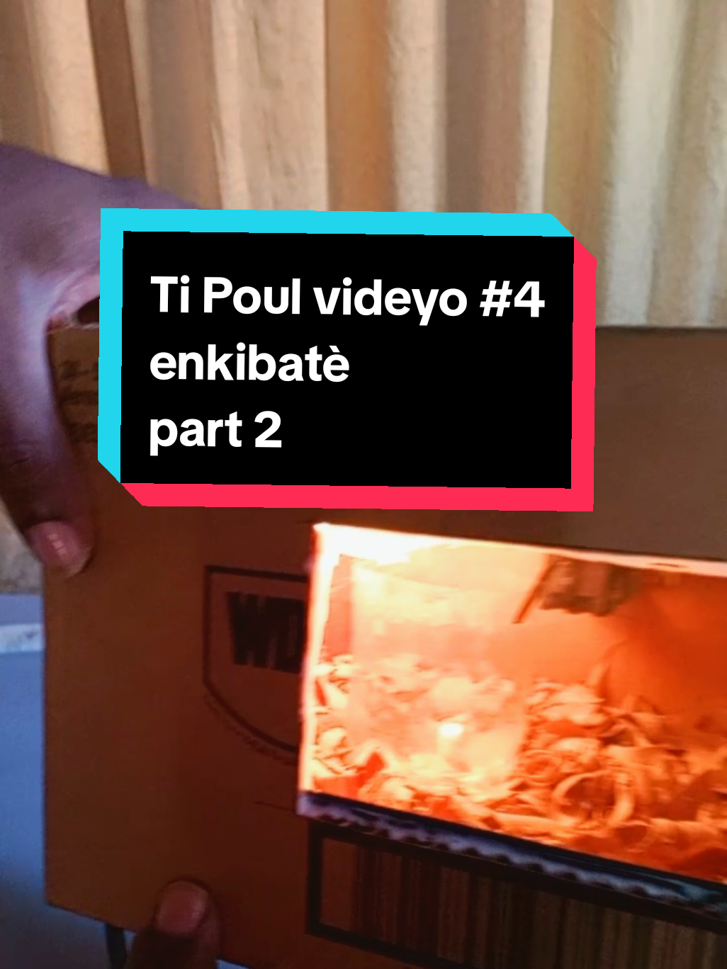 koman Nou fabrike enkibatè a? part 2 #exploraction #bricolage #chickeneggs🥚 #incubateur #experience 