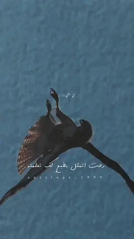 #رحت أتمثل بطبعٍ لك#تصميمي #إكسبلوررررررر_explore 