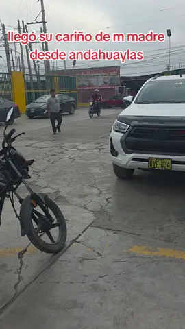 #LIVEIncentiveProgram #LIVEFEST2025 #MakeLIVECount #PaidPartnership 