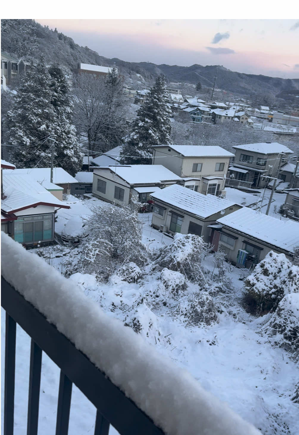 Woke up like this ❄️ 🥶  Ohayou Jp🇯🇵#fyp #ssw #3rdtime #😇 #snow 
