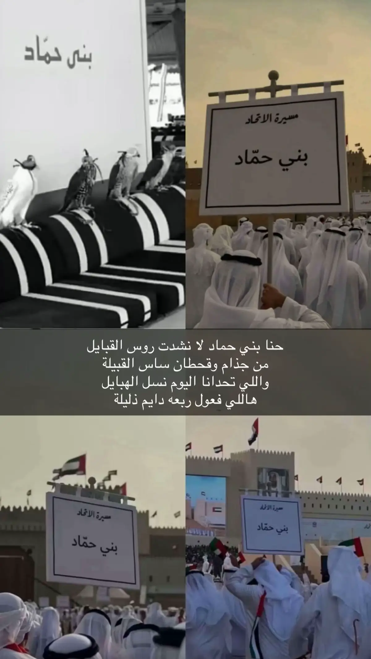 #بني_حماد #الحمادي #بوظبي #الامارات #عيد_الاتحاد🇦🇪  