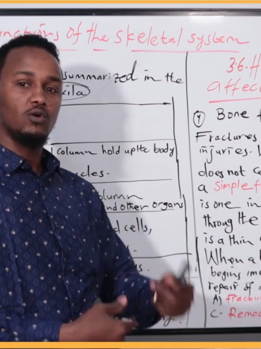 # Lesson Seven (7)  Special For Grade 12/F4  Manahjka Dawlada.  Biology F4  # Skeletal System  # Chapter 3. 