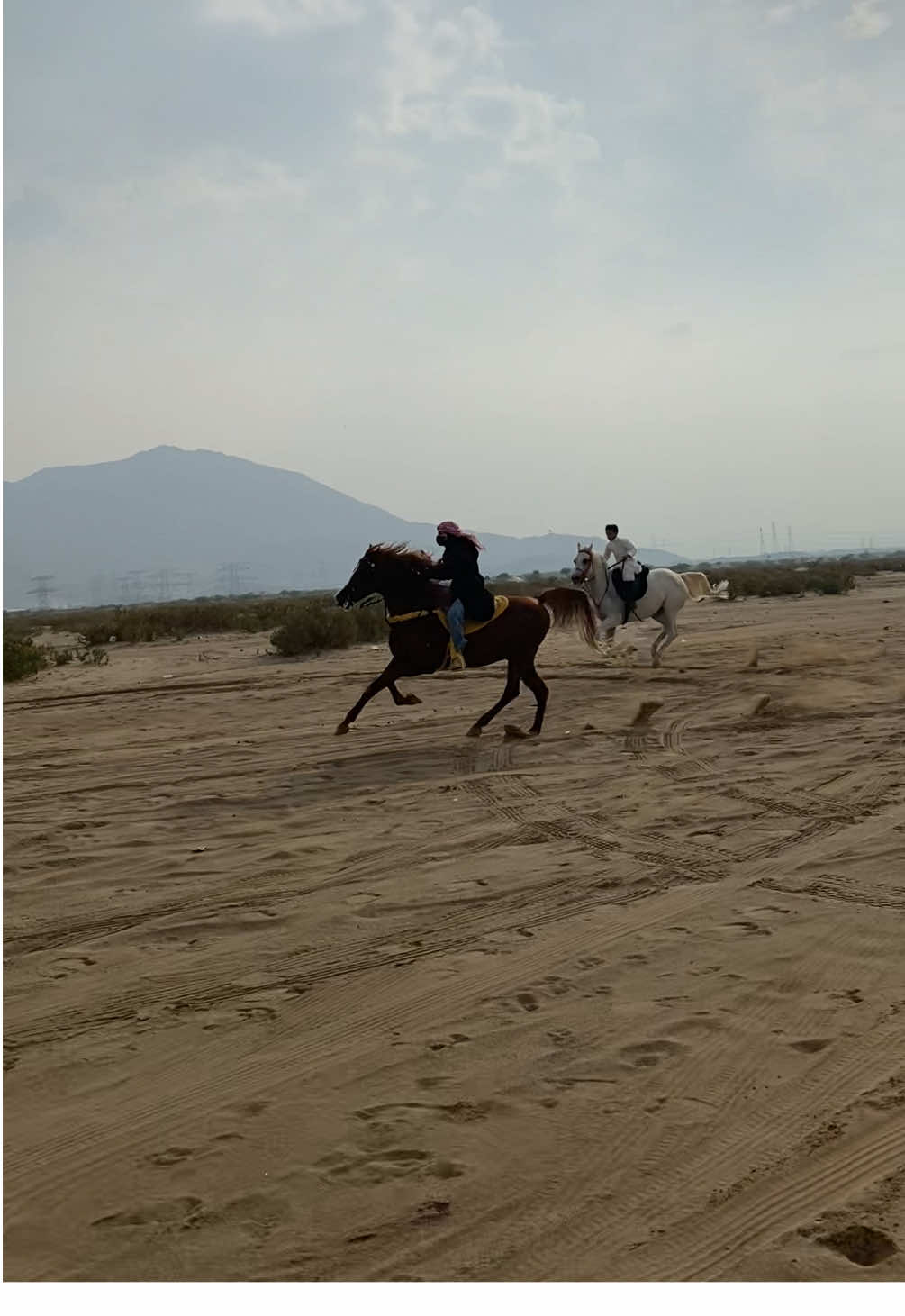 جننت بدر معي👍🏻😂