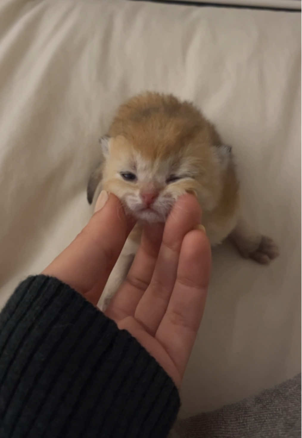 الحجم نقطه ما اتحمل!