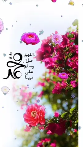 #creatorsearchinsights #الحرم_المكي #ترندات_تيك_تو 