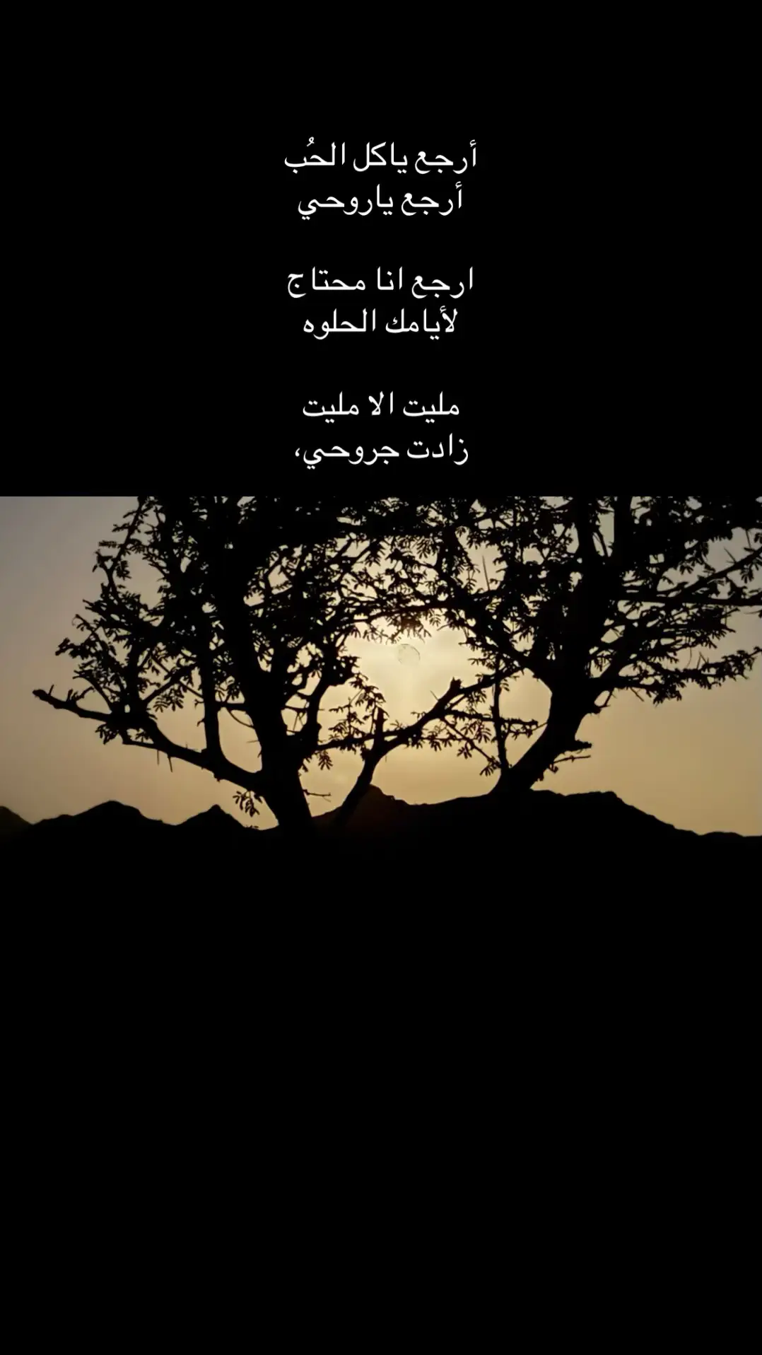 #CapCut #explore #اكسبلور #ارجع_ياكل_الحب 