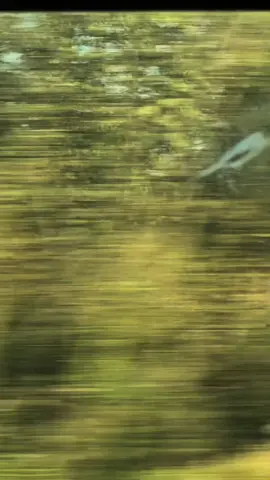 Isso é mentalidade de crescimento 🫂