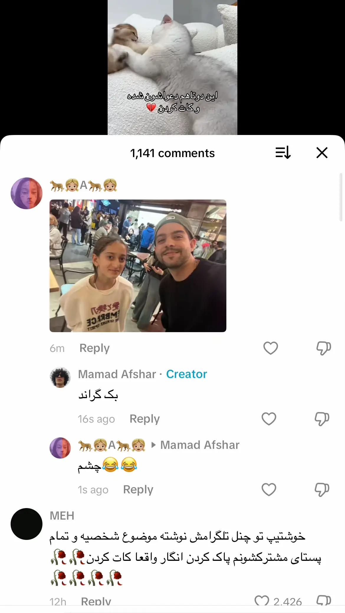 @Mamad Afshar @manixvid نمیدونم چرا ولی خب (اوسکلم)