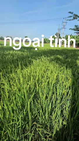 ngoại tình từ những giây phút đầu tiên