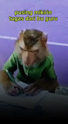 #اضحك_من_قلبك #معكم_بالترند😂👏🏻_اكسبلور #الشعب_الصيني_ماله_حل😂😂 #صنعاء_تعز_عدن_اب_ذمار_حجة_حضرموت 