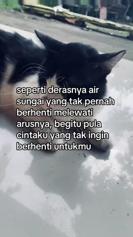 #bucin_story #kata #xyzbca #beranda #fyp 