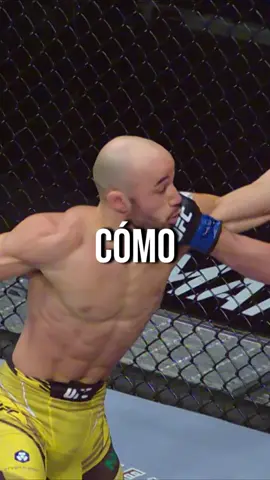 Merab es demasiado caotico  Merab Dvalishvili vs Marlon Morales #UFC #ufcespanol #mma #mmaespañol #andersonsilva  