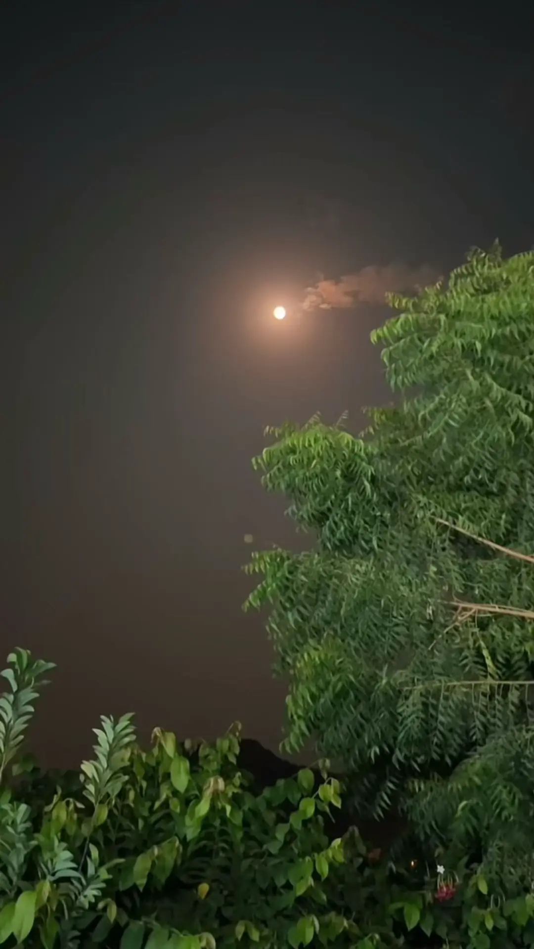 #creatorsearchinsights 