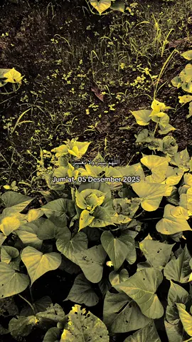 اللَّهُمَّ يَسْرُ وَلَا تُعَسِرْ#jumatberkah #langitaestetik #fypviralシ #masukberandamuu 