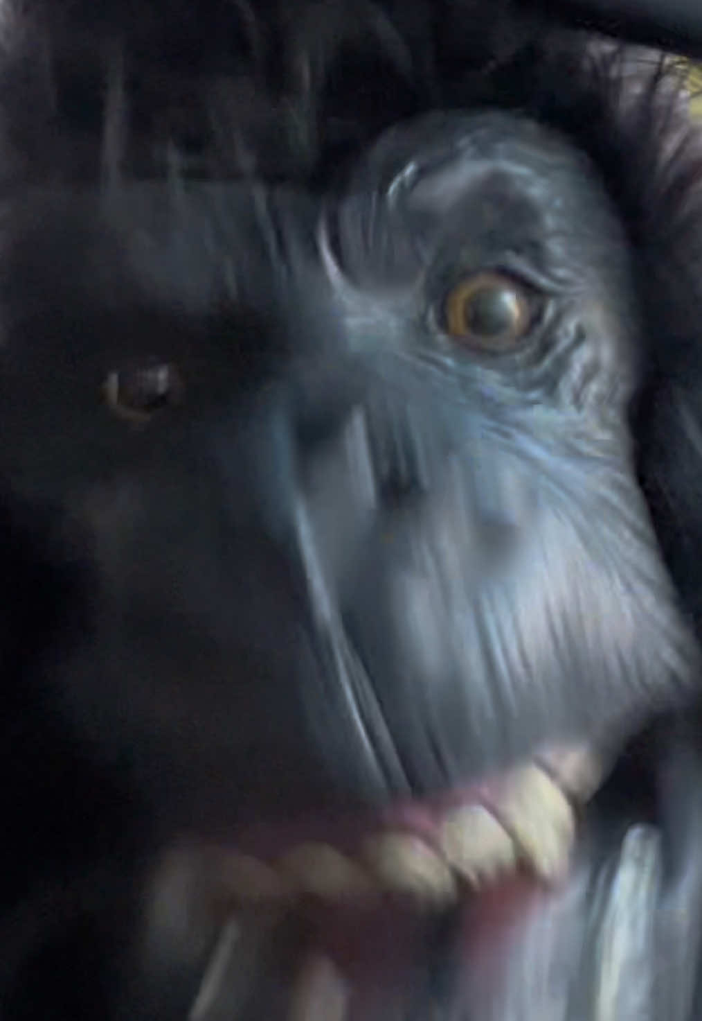 se pegó el meo cabezazo XDDD #fyp #fyppppppppppppppppppppppp #mono #chile #santiago 